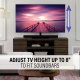 Sanus Systems VSTV2 #4
