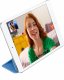 Apple iPad mini #7