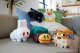 Mattel Minecraft HWH32 #2