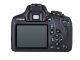 Canon EOS 2000D + EF-S 18-55 IS II + EF 50mm #8