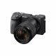 Sony α ILCE6600MB + 18-135mm #2