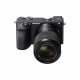 Sony α ILCE6600MB + 18-135mm #3