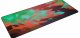 Xtrfy GP5-XL-LITUS-RED #3