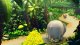 Nintendo Donkey Kong Country Returns HD #13