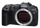Canon EOS R8 + RF 24-105mm F4-7.1 IS STM #6