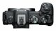 Canon EOS R8 + RF 24-105mm F4-7.1 IS STM #5