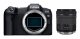 Canon EOS R8 + RF 24-105mm F4-7.1 IS STM #1
