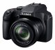Panasonic Lumix FZ80D #2