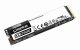 Kingston Technology KC2500 #2