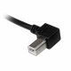 StarTech.com 2m USB 2.0 A - B #4