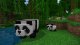 Sony Minecraft Bedrock Edition, PS4 #4