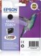 Epson Hummingbird T0801 #1