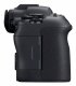 Canon EOS R6 Mark II #4