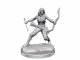 WizKids Human Rogue