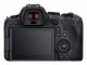 Canon EOS R6 Mark II + RF 24-105mm F4 L IS USM #5