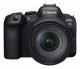 Canon EOS R6 Mark II + RF 24-105mm F4 L IS USM #1