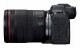 Canon EOS R6 Mark II + RF 24-105mm F4 L IS USM #4