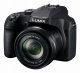 Panasonic Lumix DC-FZ82 #3