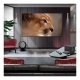 LG OLED evo AI OLED65M59LA.AEK #10