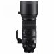 Sigma 150-600mm F5-6.3 DG DN OS S #3