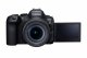 Canon EOS R6 MARK II + RF 24-105 F4-7.1 IS STM #4