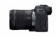 Canon EOS R6 MARK II + RF 24-105 F4-7.1 IS STM #5