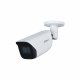 Dahua Technology WizSense IPC-HFW3841E-S-S2