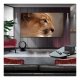 LG OLED evo AI OLED77M59LA.AEK #10