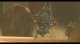 Nintendo The Legend of Zelda: Twilight Princess HD, Wii U #5