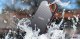 Sandisk Extreme PRO Portable #6