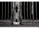 Parat PARAPROJECT Case TC20 #3