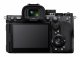 Sony α 7R V #2