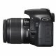 Canon EOS 550D + EF-S 18-55mm IS #10