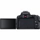 Canon EOS 250D + EF-S 18-55mm f/3.5-5.6 III + EF 75-300mm f/4-5.6 III #7