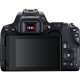 Canon EOS 250D + EF-S 18-55mm f/3.5-5.6 III + EF 75-300mm f/4-5.6 III #6