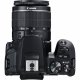 Canon EOS 250D + EF-S 18-55mm f/3.5-5.6 III + EF 75-300mm f/4-5.6 III #10
