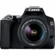 Canon EOS 250D + EF-S 18-55mm f/3.5-5.6 III + EF 75-300mm f/4-5.6 III #2