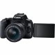 Canon EOS 250D + EF-S 18-55mm f/3.5-5.6 III + EF 75-300mm f/4-5.6 III #5