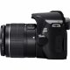 Canon EOS 250D + EF-S 18-55mm f/3.5-5.6 III + EF 75-300mm f/4-5.6 III #8