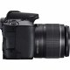 Canon EOS 250D + EF-S 18-55mm f/3.5-5.6 III + EF 75-300mm f/4-5.6 III #9