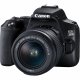 Canon EOS 250D + EF-S 18-55mm f/3.5-5.6 III + EF 75-300mm f/4-5.6 III #3