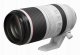 Canon RF 100-500mm F4.5-7.1L IS USM #4