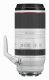 Canon RF 100-500mm F4.5-7.1L IS USM #2