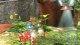 Nintendo Pikmin 3 Deluxe #6