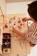 Kid’s Concept Kid's tool bench #3
