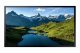 Samsung OHA-S OH55A-S