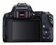 Canon EOS 250D+EF-S 18-55mm #6