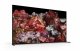 Sony FWD-65X95L #5
