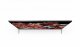 Sony FWD-65X95L #8