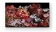 Sony FWD-65X95L #3